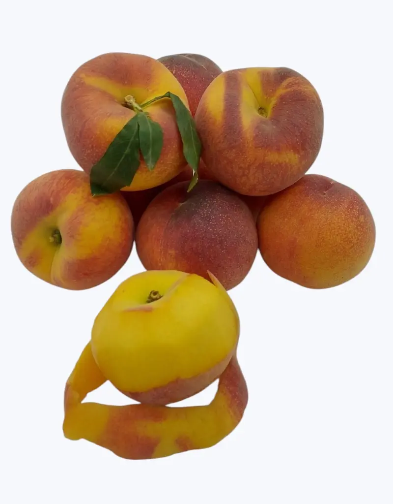 Melocoton-alta-seleccion-TheFruitsOfTheWorld-1.webp