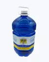 Agua-5-l-TheFruitsOfTheWorld-1.webp