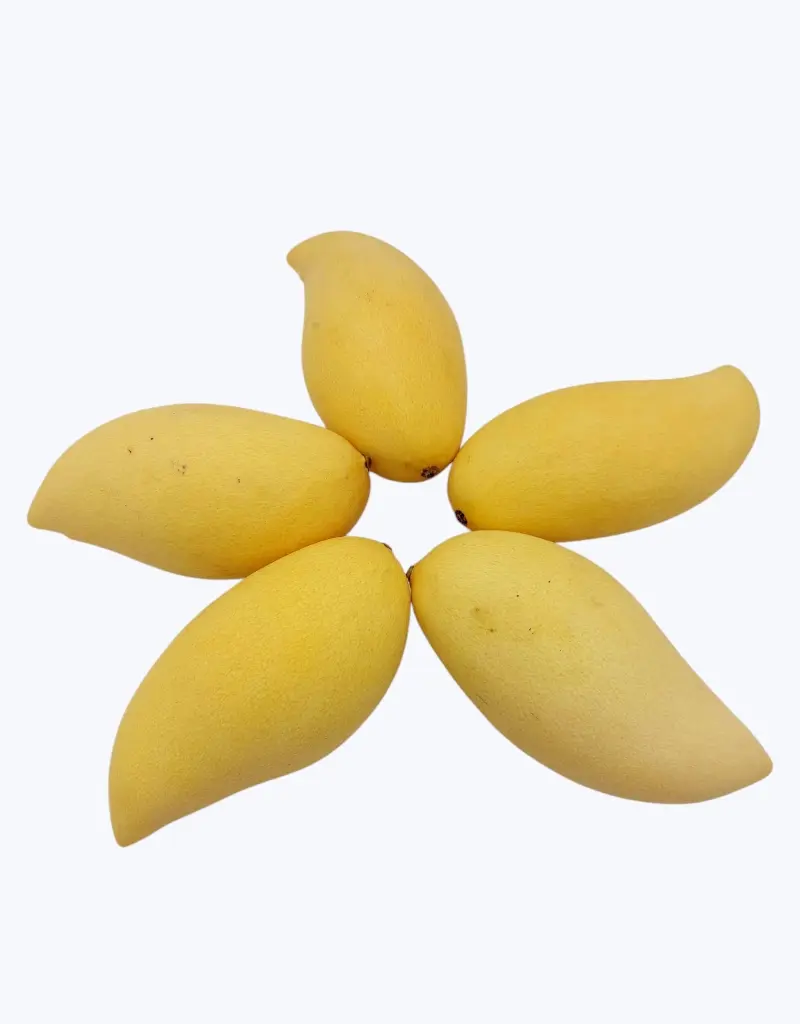Mango-manila-TheFruitsOfTheWorld-1.webp