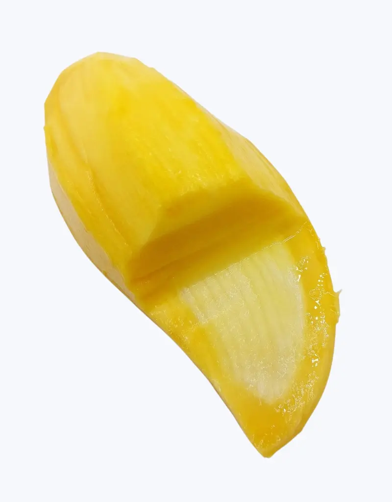 Mango-manila-TheFruitsOfTheWorld-3.webp