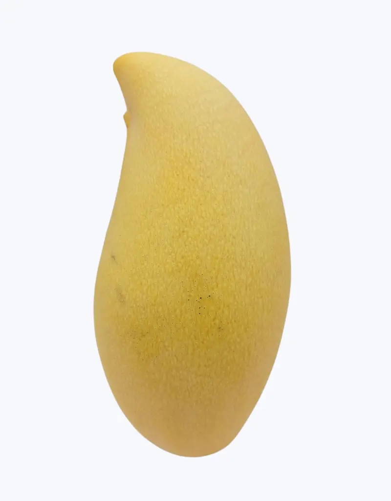 Mango-manila-TheFruitsOfTheWorld-2.webp