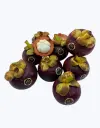 Mangostan-TheFruitsOfTheWorld-1.webp