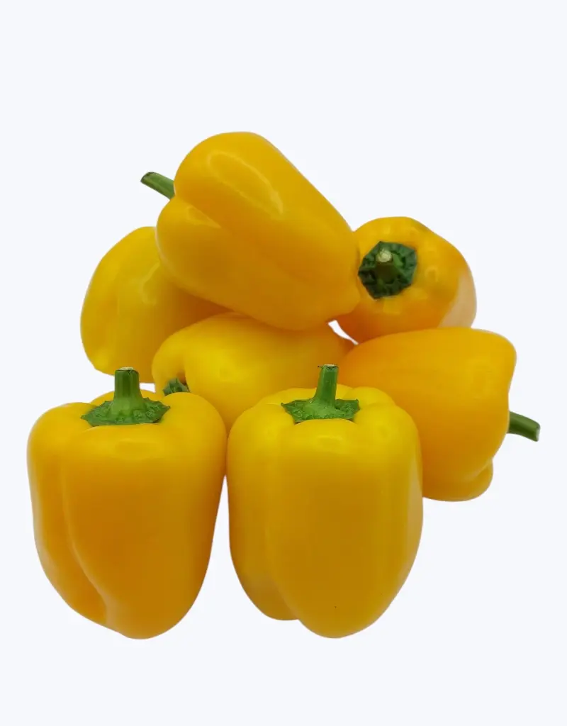 Pimiento-california-amarillo-TheFruitsOfTheWorld-1.webp