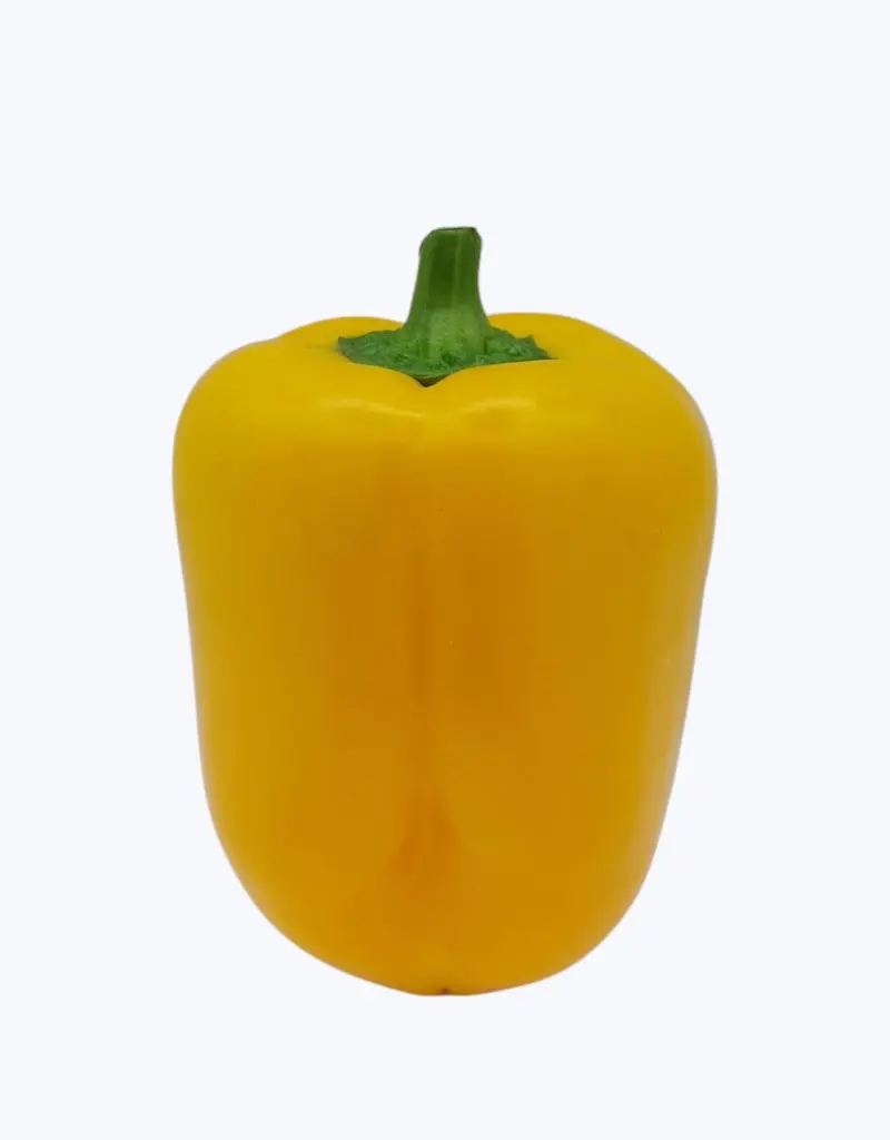 Pimiento-california-amarillo-TheFruitsOfTheWorld-2.webp