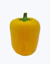 Pimiento-california-amarillo-TheFruitsOfTheWorld-2.webp