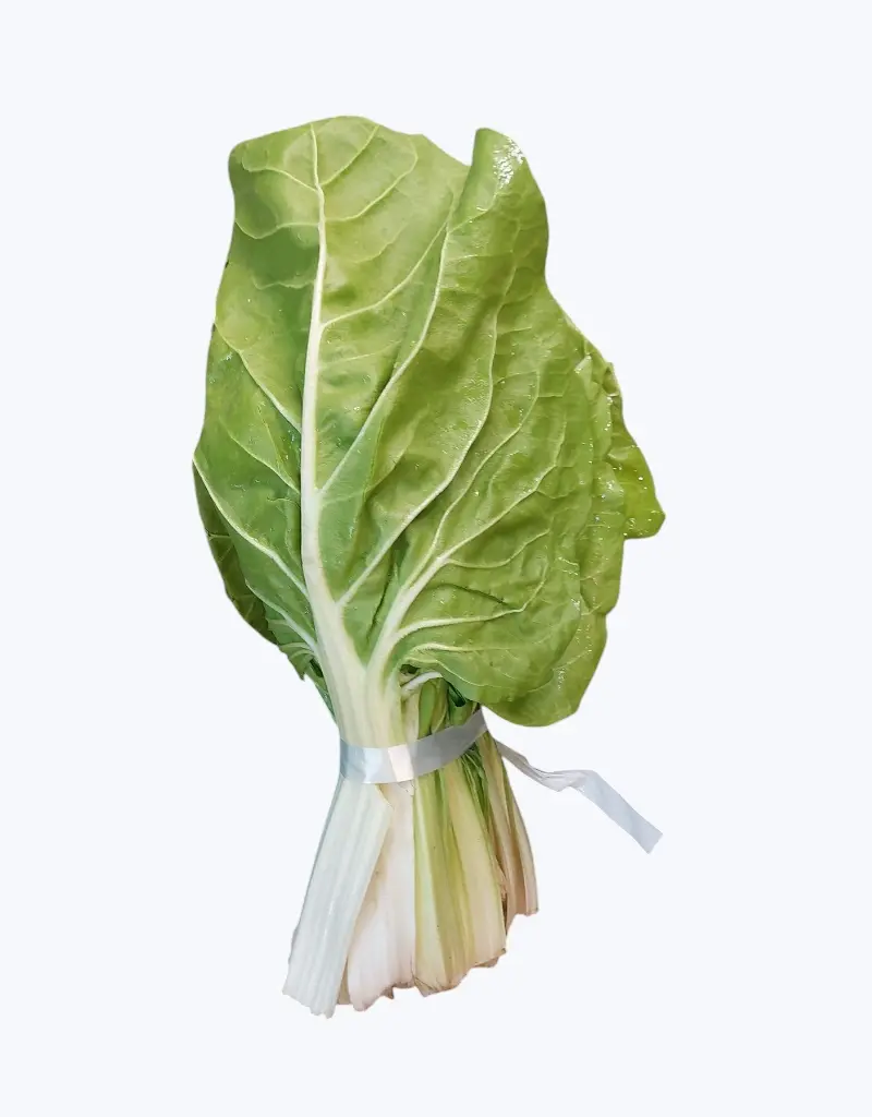 Acelga_verde_1.webp
