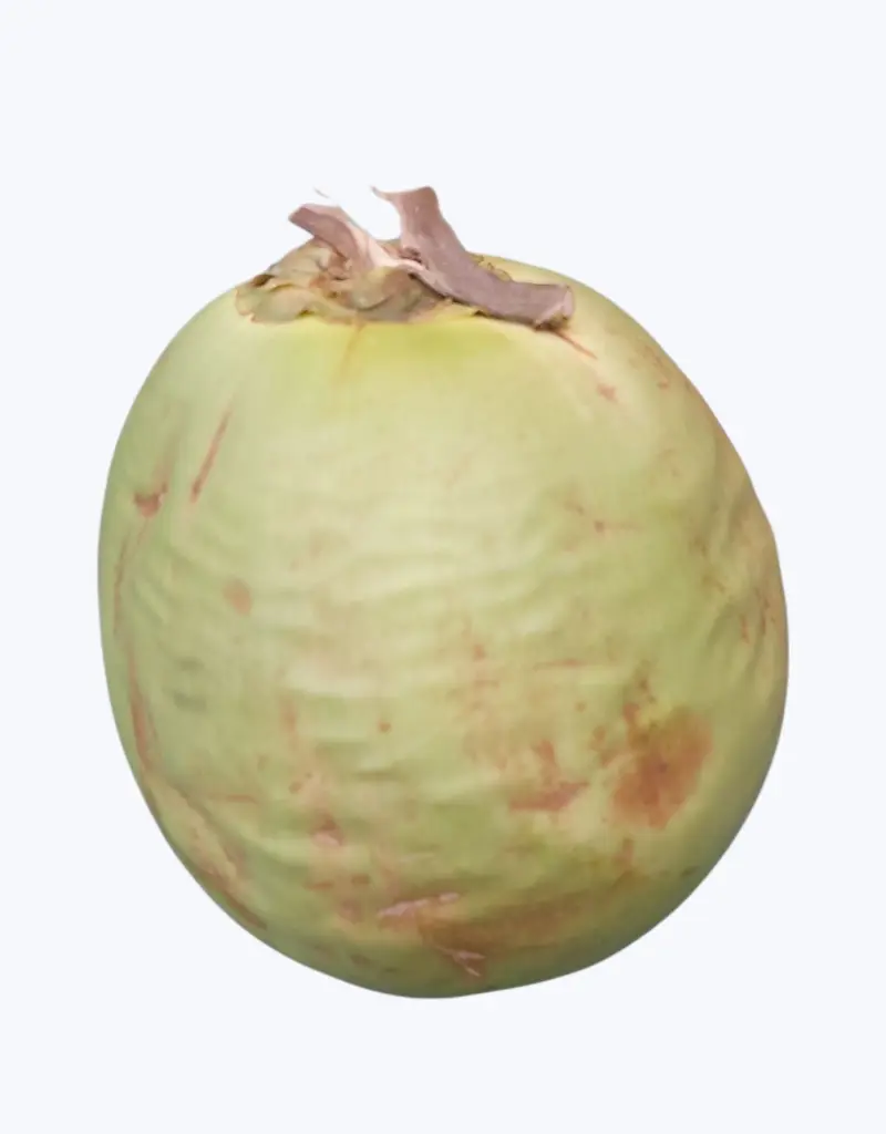 Coco-verde-TheFruitsOfTheWorld-1.webp