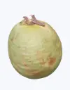 Coco-verde-TheFruitsOfTheWorld-1.webp