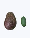 Aguacate_baby_1.webp