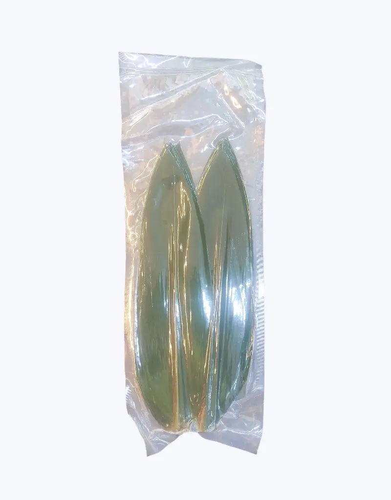 Hojas-de-bambu-100-uds-TheFruitsOfTheWorld-1.webp