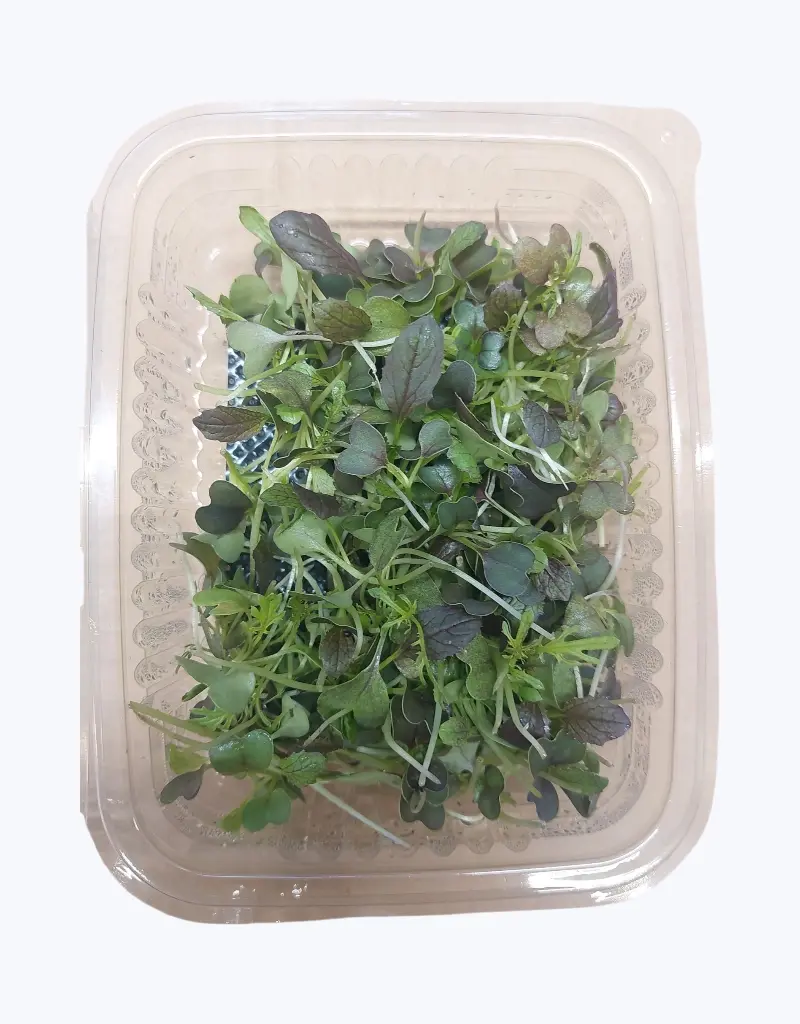 Ensalada-micromezclum-50gr-TheFruitsOfTheWorld-1.webp