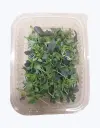 Ensalada-micromezclum-50gr-TheFruitsOfTheWorld-1.webp