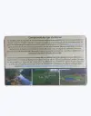 Atun-claro-Ecologico-TheFruitsOfTheWorld-4.webp
