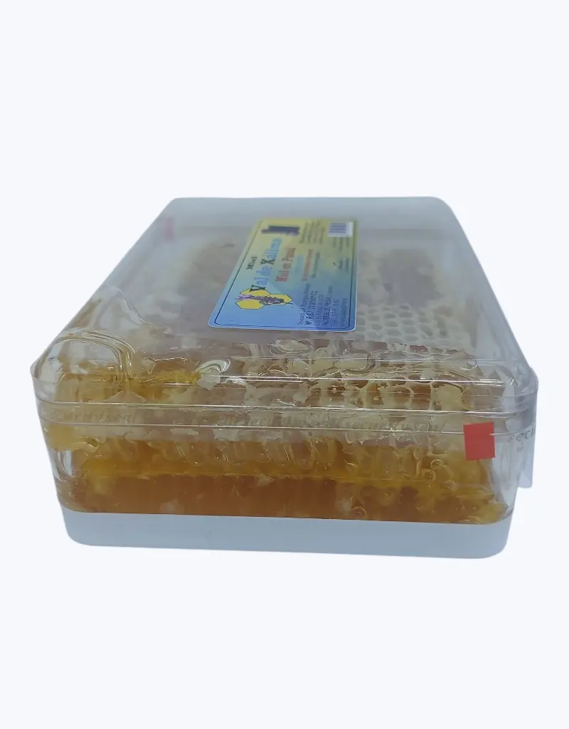 Miel-en-panal-480g-TheFruitsOfTheWorld-2.webp