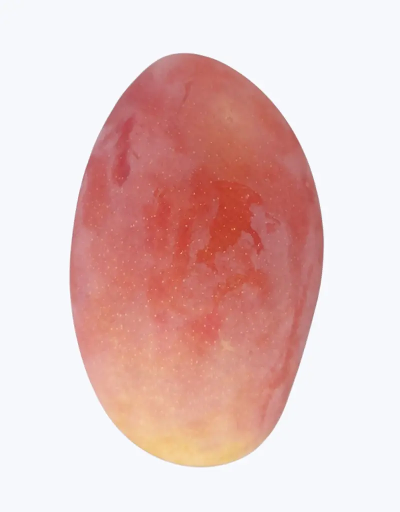 Mango-nacional-TheFruitsOfTheWorld-1.webp