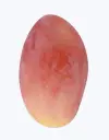 Mango-nacional-TheFruitsOfTheWorld-1.webp