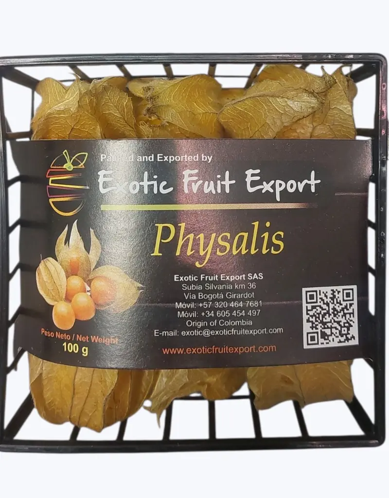 Physalis-TheFruitsOfTheWorld-1.webp