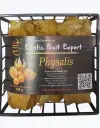 Physalis-TheFruitsOfTheWorld-1.webp