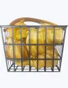 Physalis-TheFruitsOfTheWorld-.webp