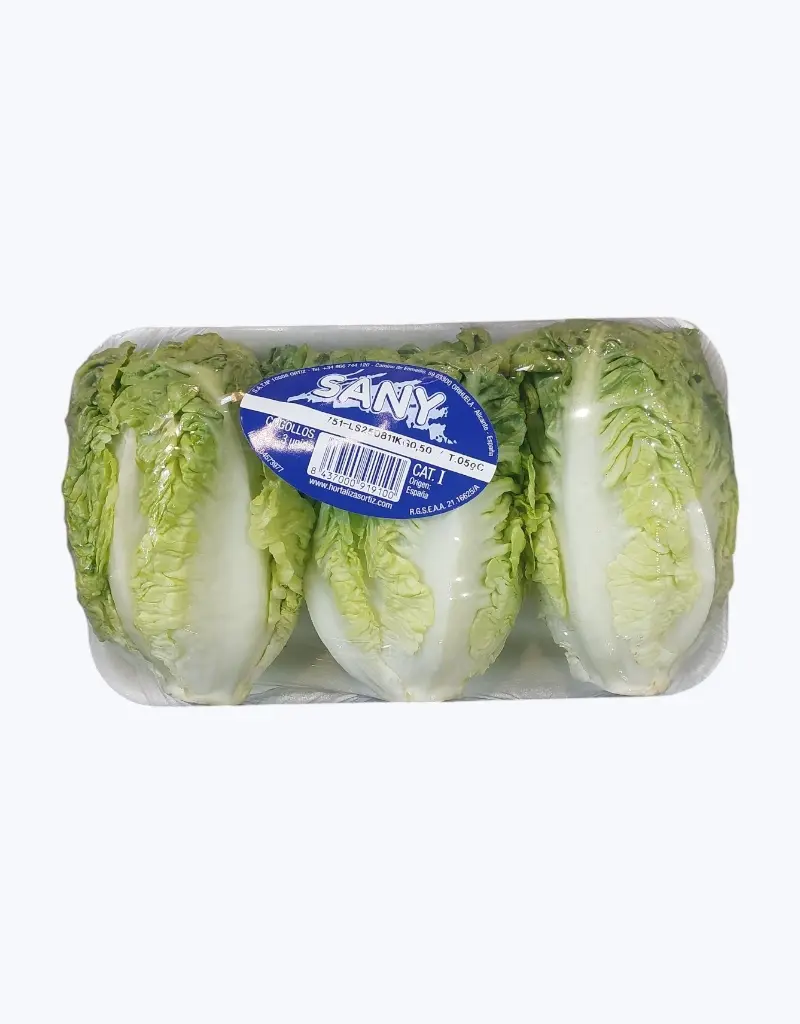 Lechuga_cogollo_5.webp