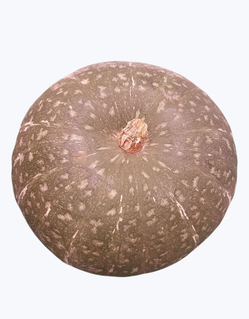 Calabaza-japonesa-Kabocha-TheFruitsOfTheWorld-1.webp