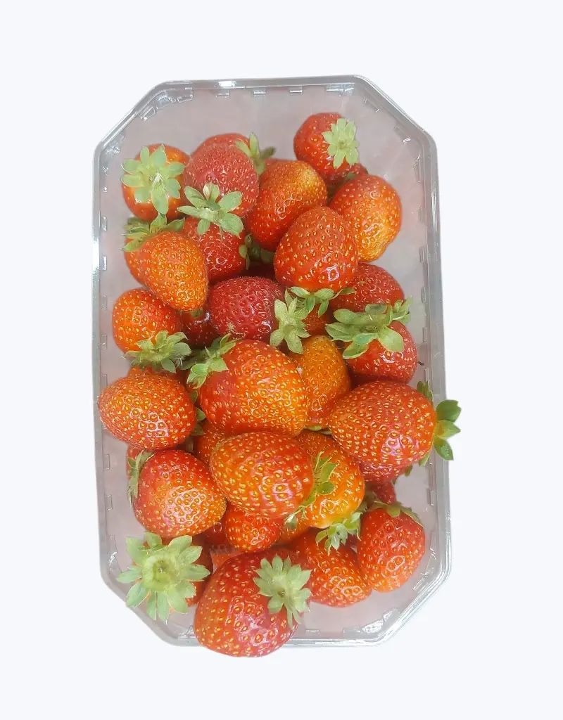 Freson-tarrina-500g-TheFruitsOfTheWorld-1.webp
