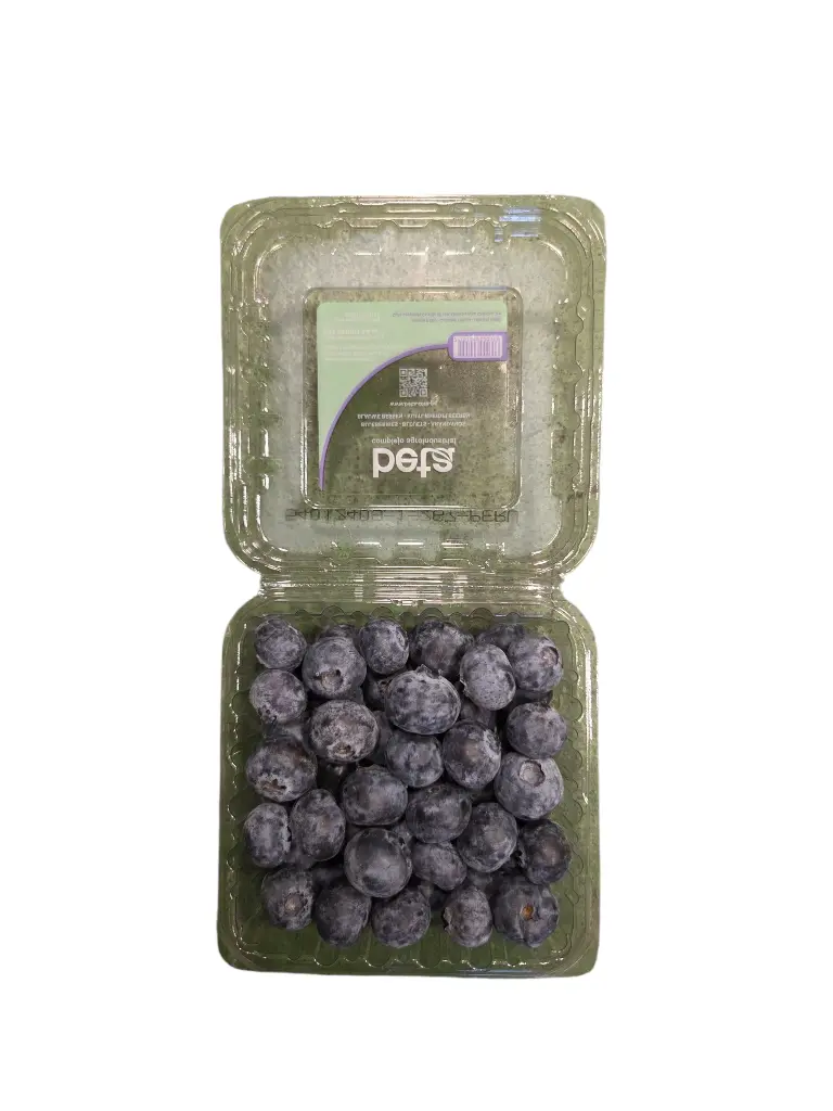 Arandanos-azules-tarrina-TheFruitsOfTheWorld-1.webp