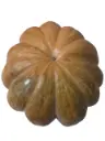 Calabaza-zapallo-TheFruitsOfTheWorld-1.webp