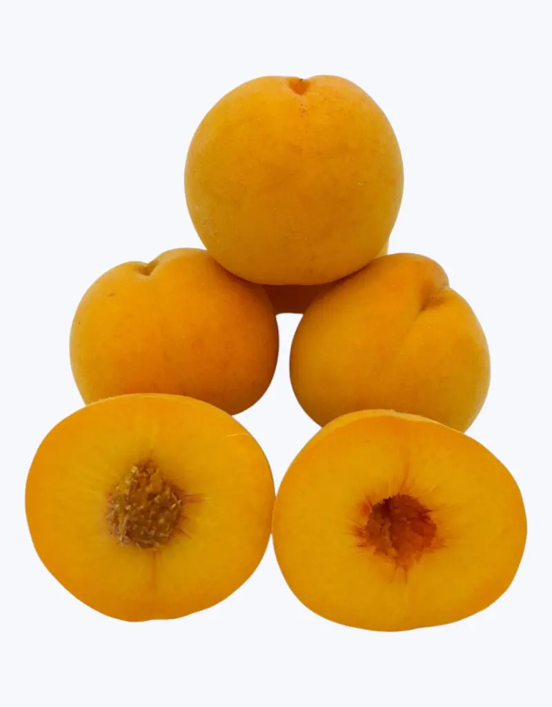 Melocoton-de-calanda-TheFruitsOfTheWorld-1.webp