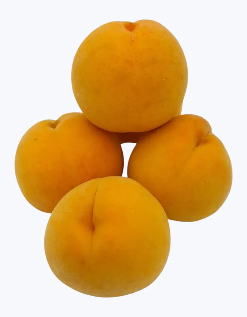 Melocoton-de-calanda-TheFruitsOfTheWorld.webp