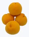 Melocoton-de-calanda-TheFruitsOfTheWorld.webp