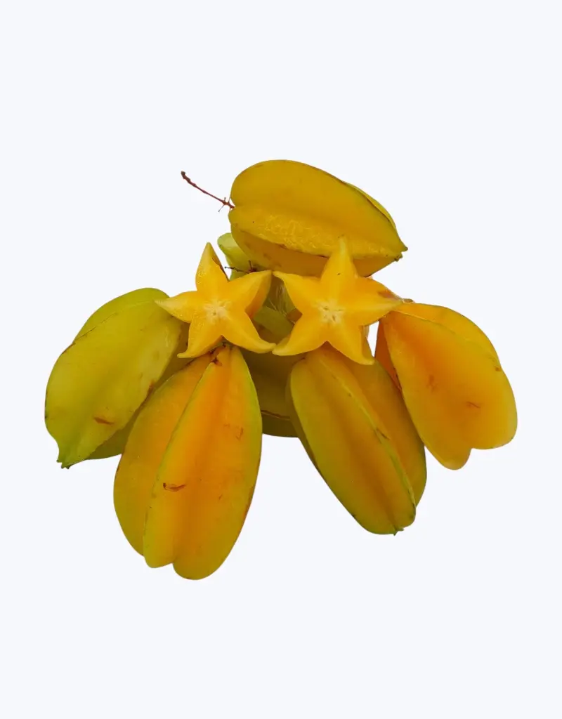 Carambola-TheFruitsOfTheWorld-3.webp