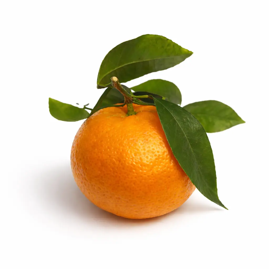 Clementina con Hoja