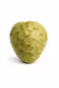 Chirimoya