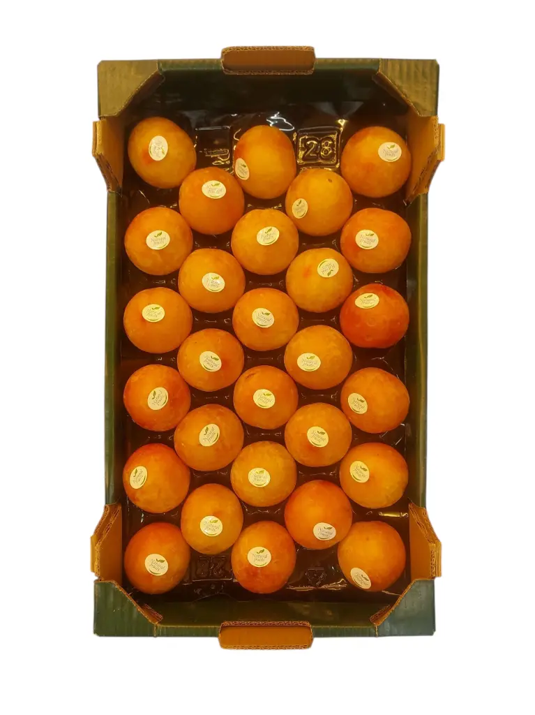 Ciruela sungold