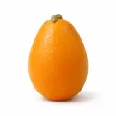 Nispero extra