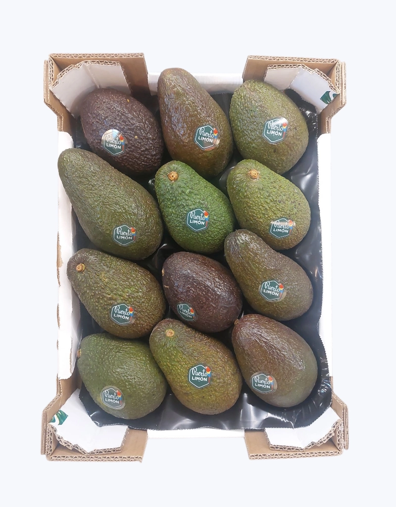 Aguacate hass importacion