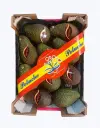 Aguacate nacional