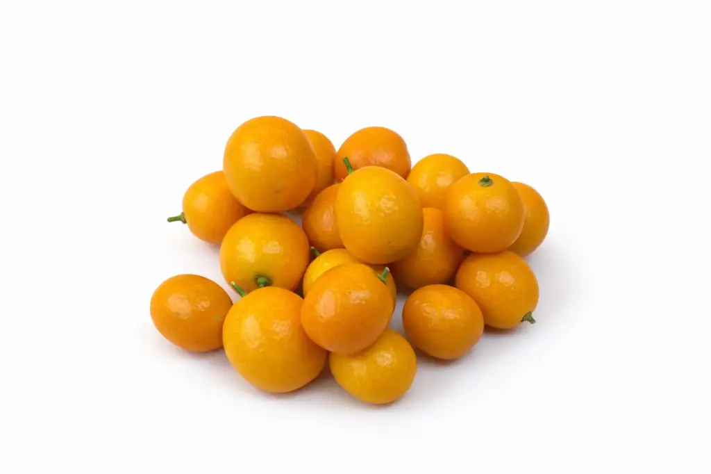Calamondin
