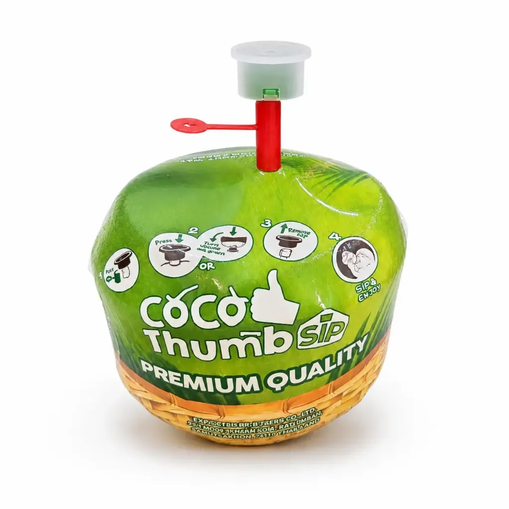 Coco Lapiz