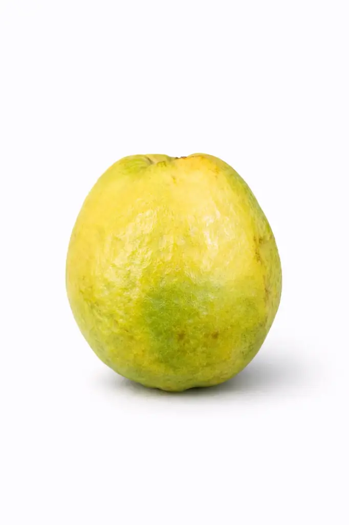 Guayaba Importacion