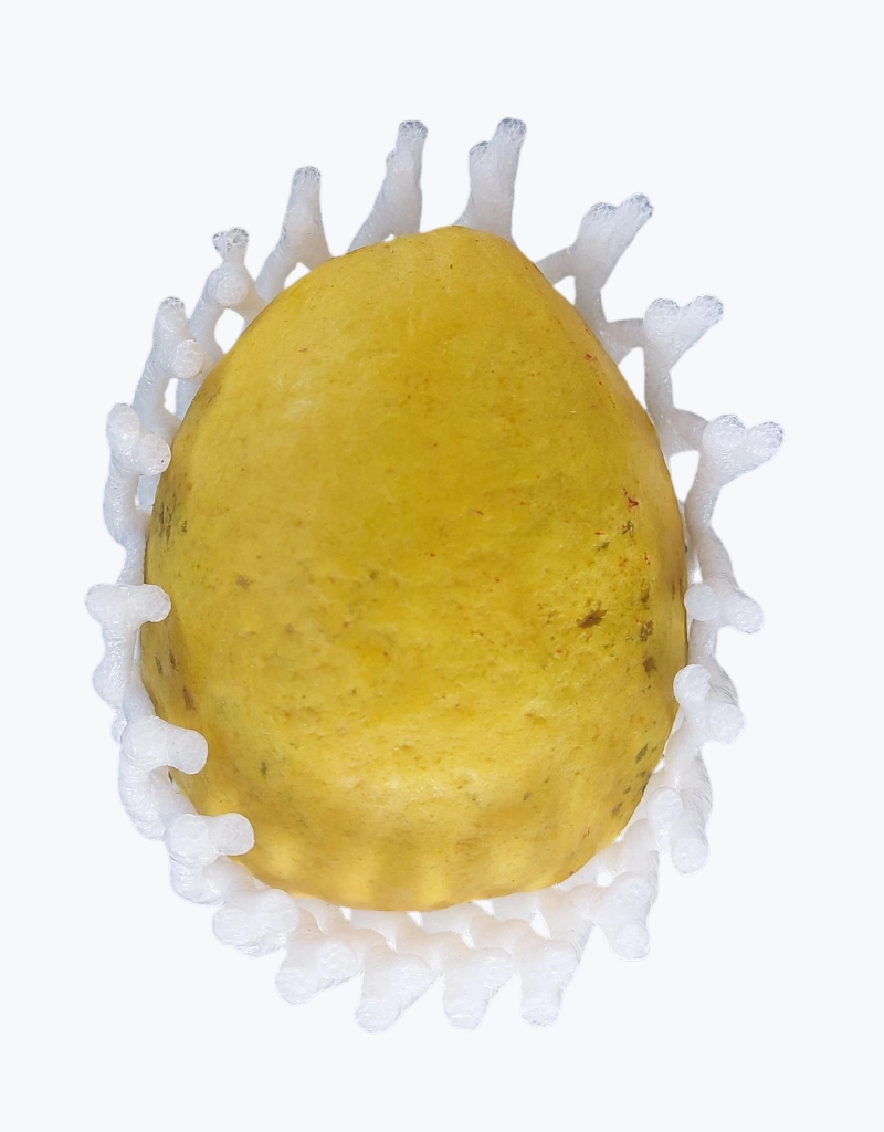 Guayaba importacion (unidad)