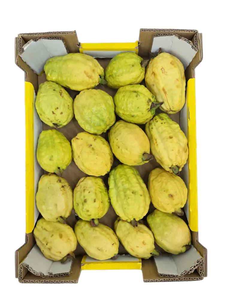Guayaba nacional rosa