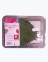 Hojas de shiso verde