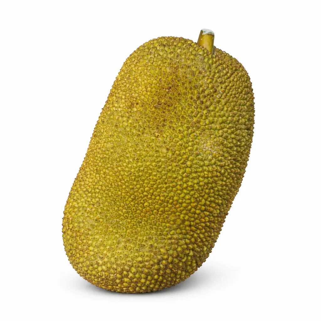 Jack fruit