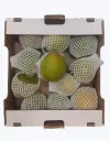 Lucuma