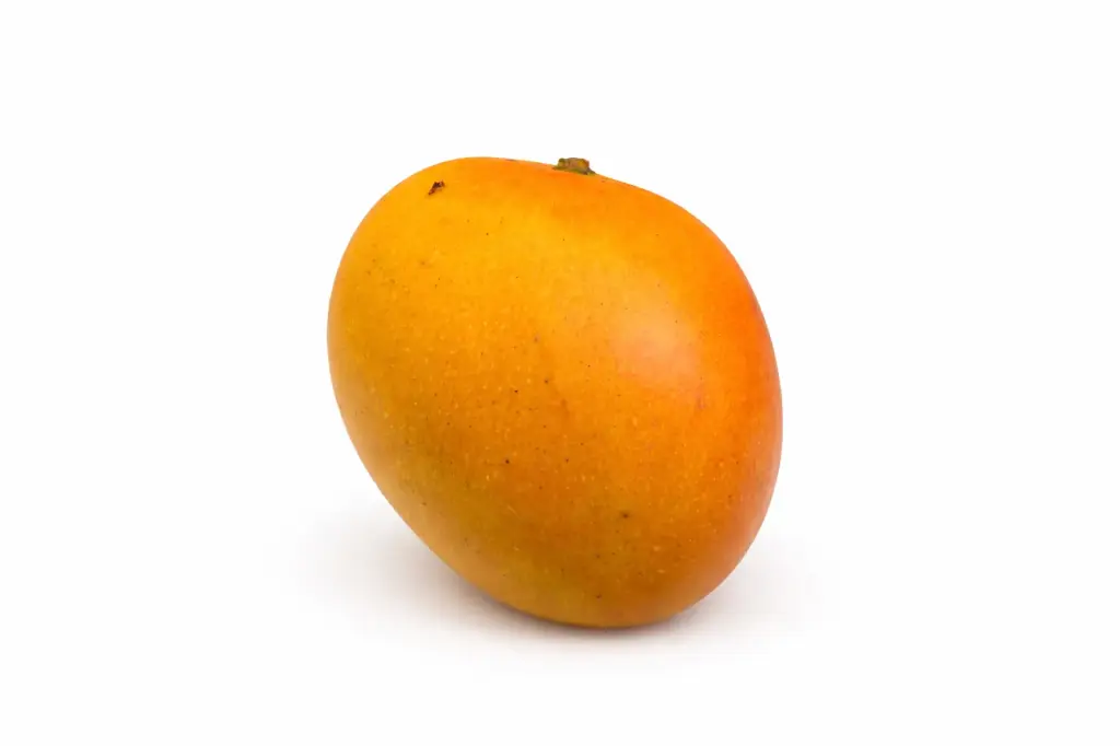 Mango Baby
