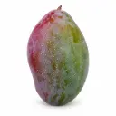 Mango Nacional