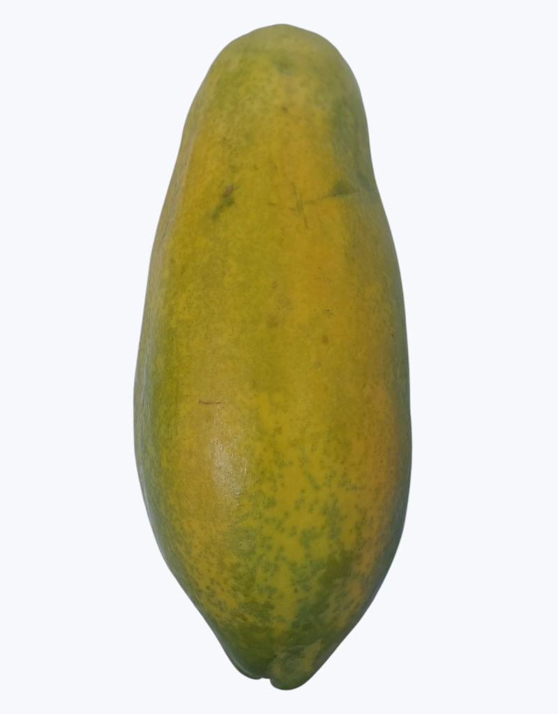 Papayon (1 unidad)