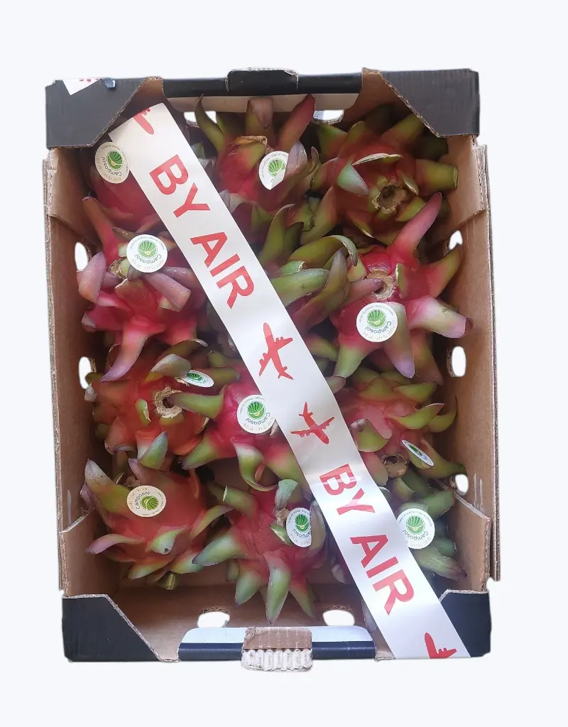 Pitahaya roja carne rosa